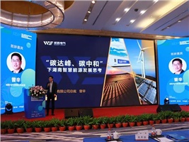 惟远能源荣获“十三五”新能源领军企业，献策“十四五”新能源产业发展